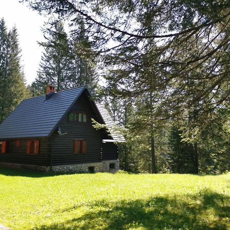 Chalet Stara Jelka Pokljuka Згорнье-Горье Экстерьер фото