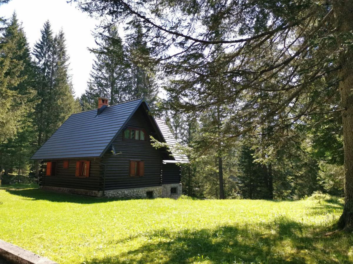 Chalet Stara Jelka Pokljuka Згорнье-Горье Экстерьер фото