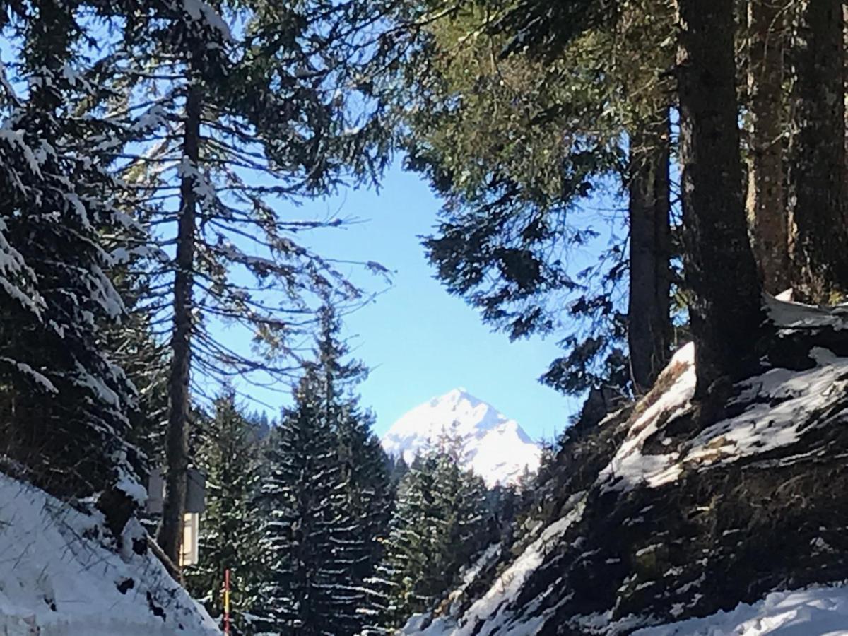 Chalet Stara Jelka Pokljuka Згорнье-Горье Экстерьер фото