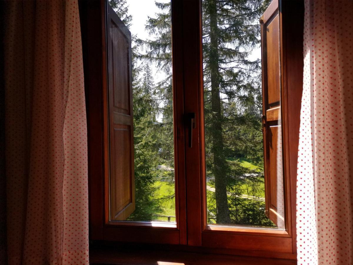 Chalet Stara Jelka Pokljuka Згорнье-Горье Экстерьер фото
