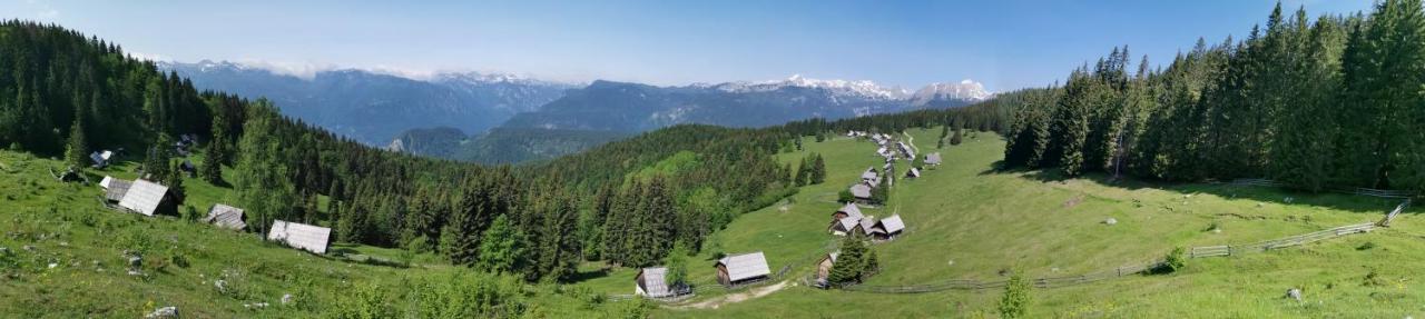 Chalet Stara Jelka Pokljuka Згорнье-Горье Экстерьер фото