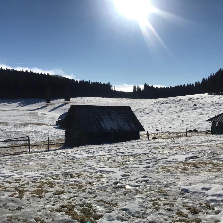 Chalet Stara Jelka Pokljuka Згорнье-Горье Экстерьер фото