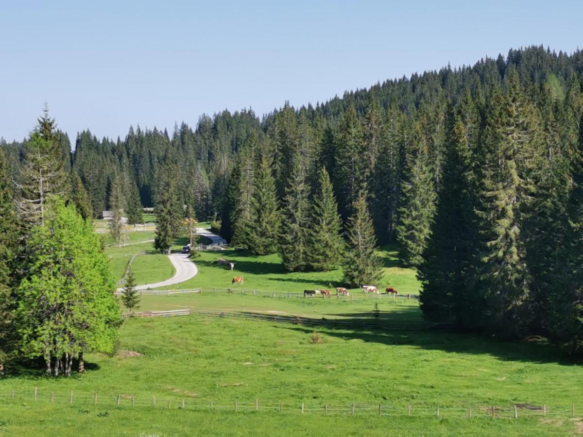 Chalet Stara Jelka Pokljuka Згорнье-Горье Экстерьер фото
