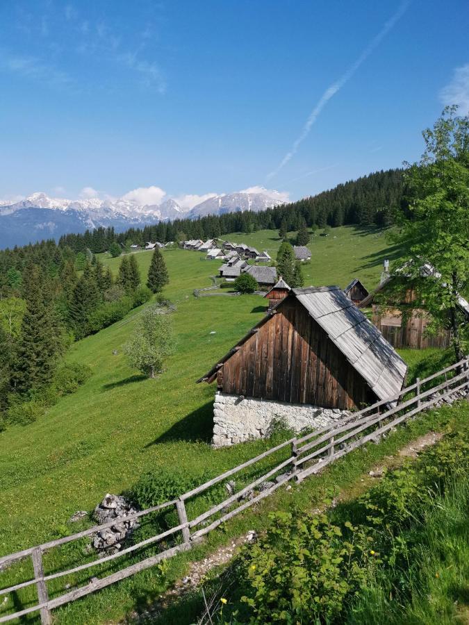 Chalet Stara Jelka Pokljuka Згорнье-Горье Экстерьер фото