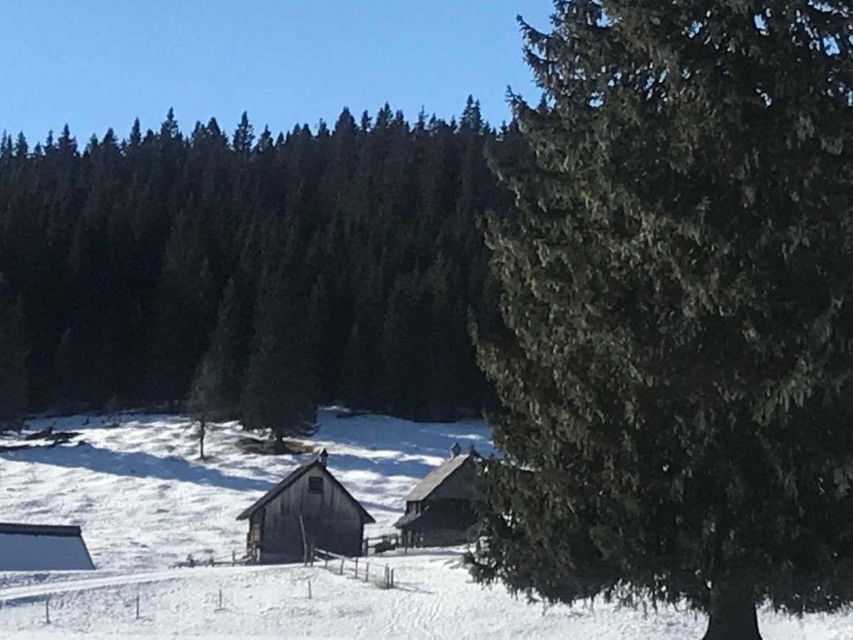 Chalet Stara Jelka Pokljuka Згорнье-Горье Экстерьер фото