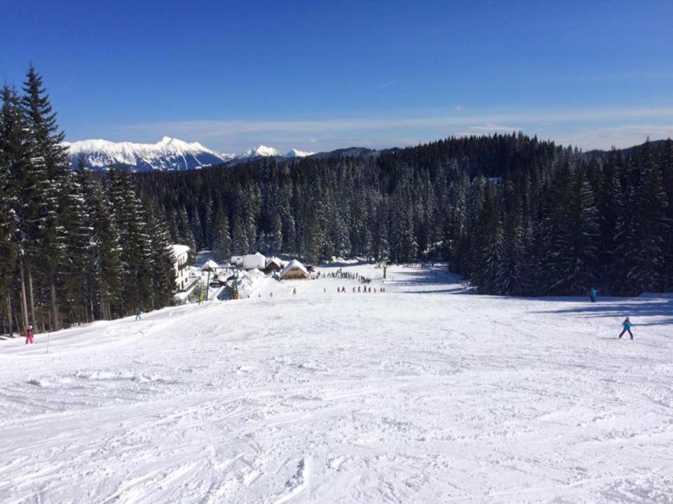 Chalet Stara Jelka Pokljuka Згорнье-Горье Экстерьер фото
