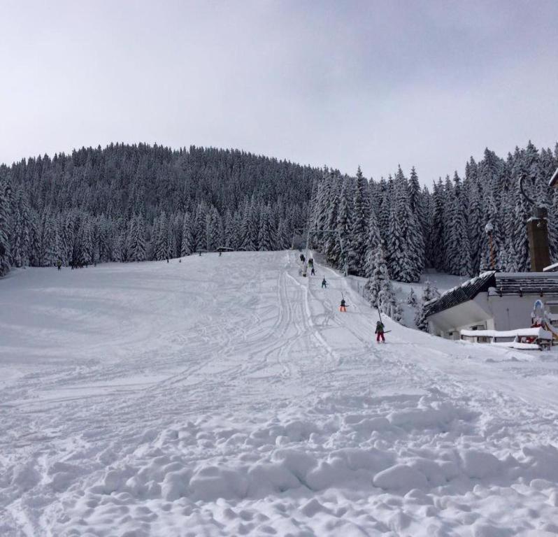 Chalet Stara Jelka Pokljuka Згорнье-Горье Экстерьер фото