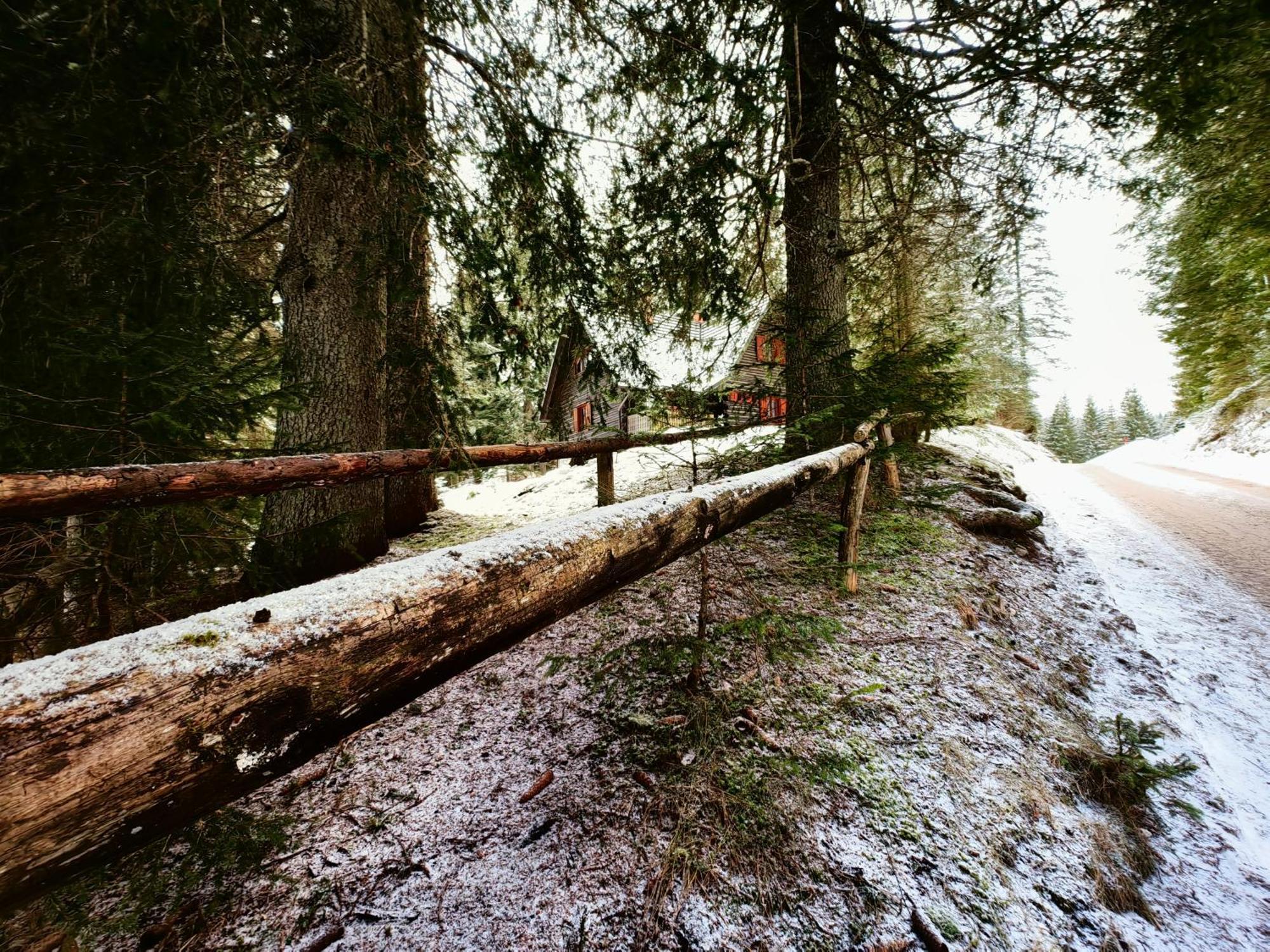 Chalet Stara Jelka Pokljuka Згорнье-Горье Экстерьер фото