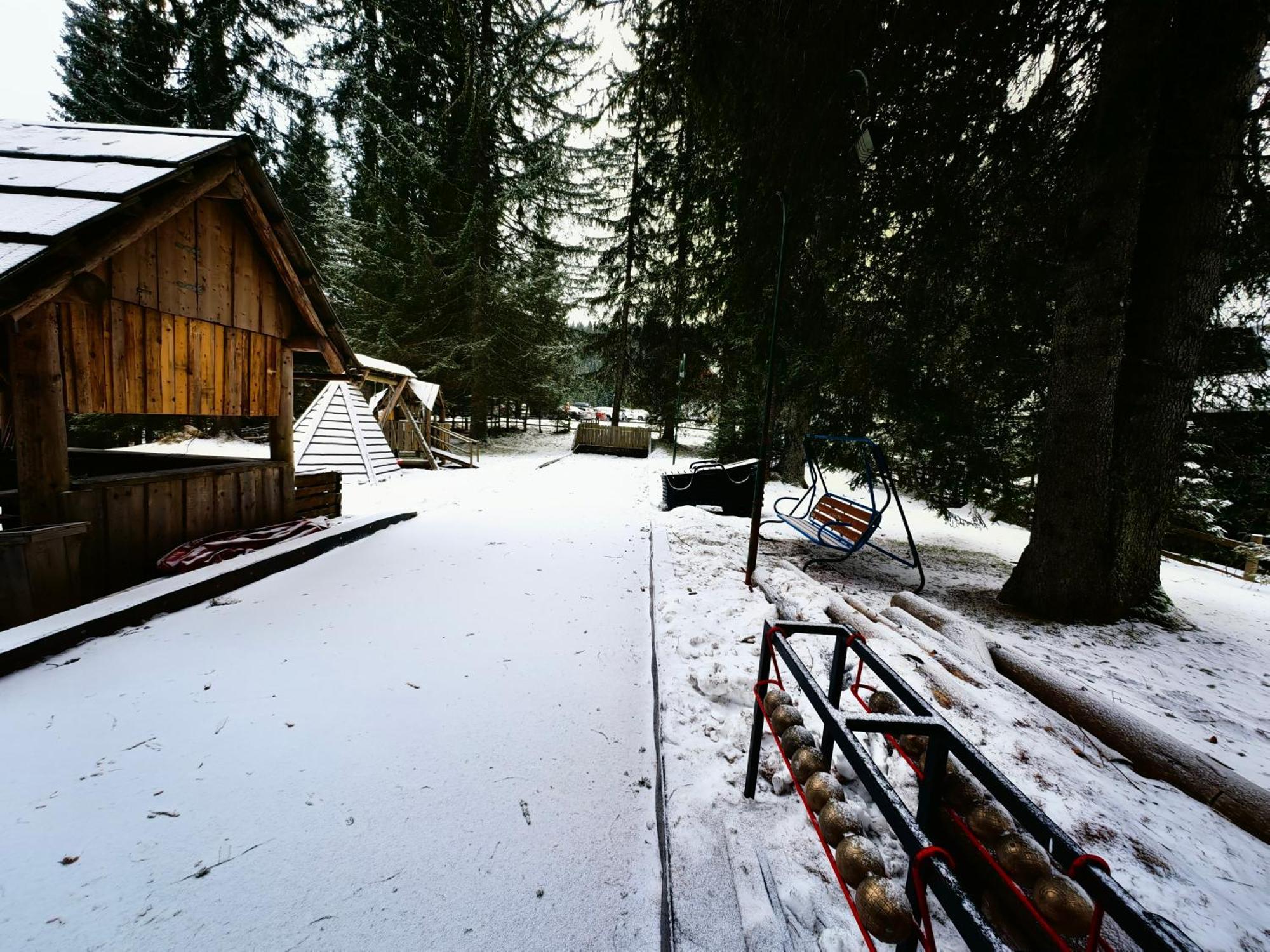 Chalet Stara Jelka Pokljuka Згорнье-Горье Экстерьер фото