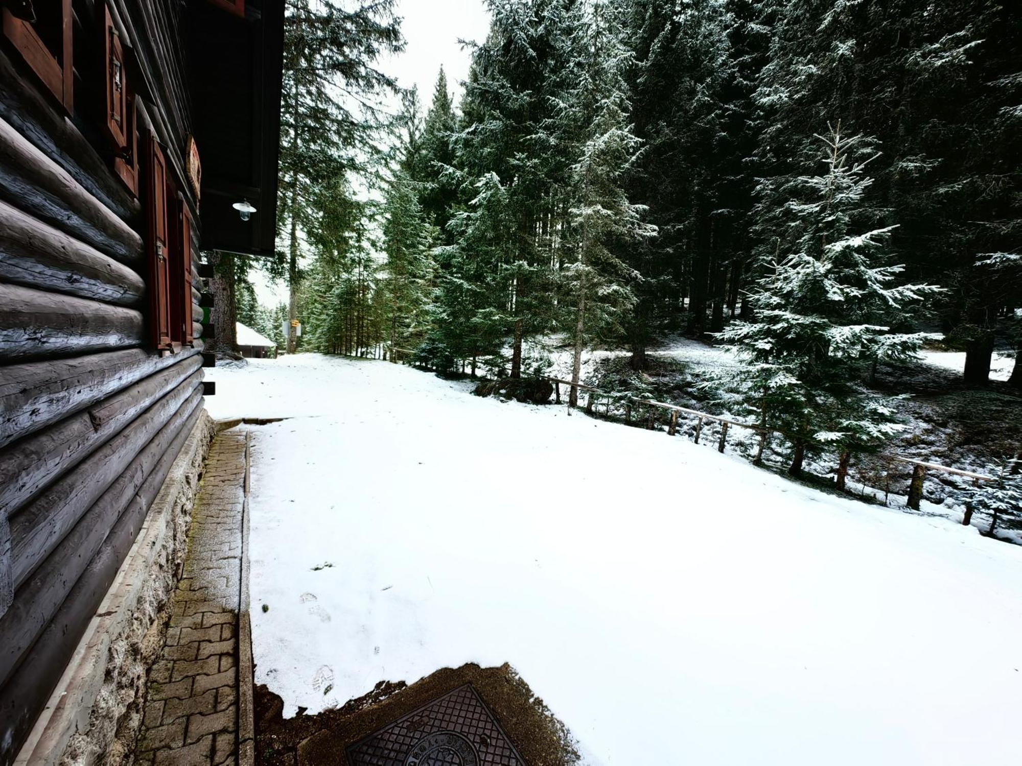 Chalet Stara Jelka Pokljuka Згорнье-Горье Экстерьер фото