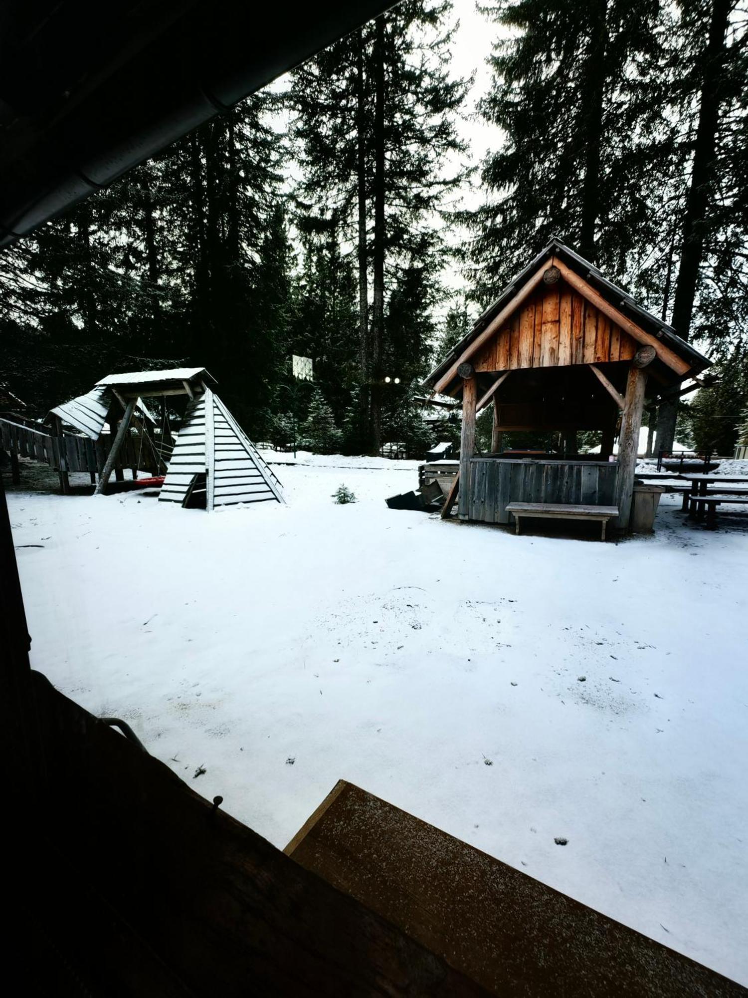 Chalet Stara Jelka Pokljuka Згорнье-Горье Экстерьер фото