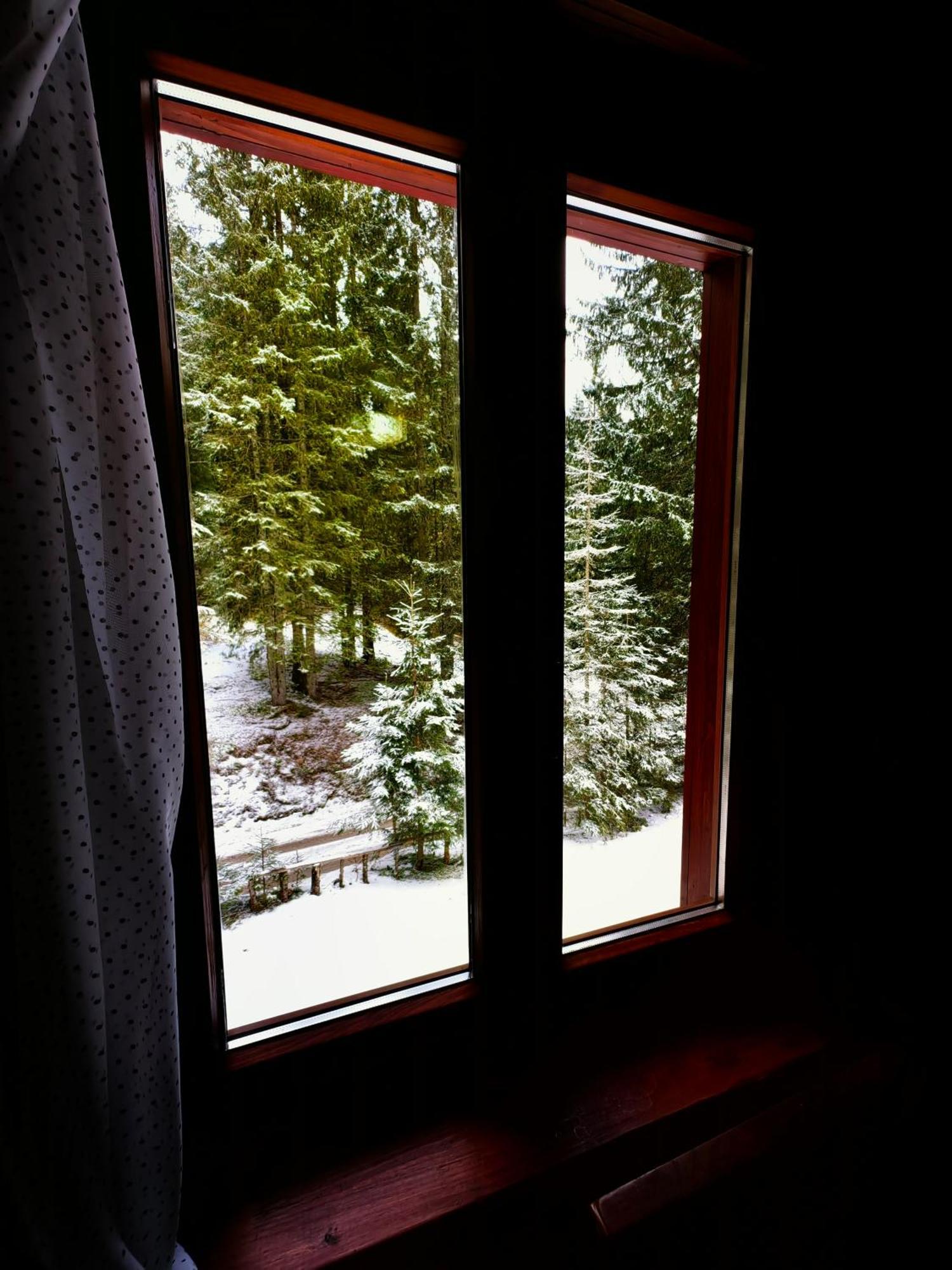 Chalet Stara Jelka Pokljuka Згорнье-Горье Экстерьер фото